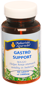 Gastro Support tablets