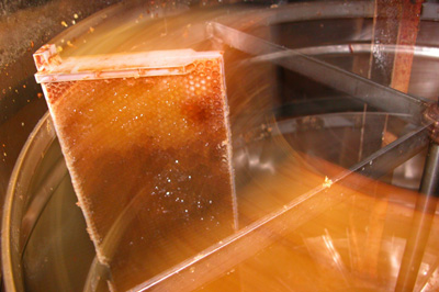 honey centrifuge extractor in motion
