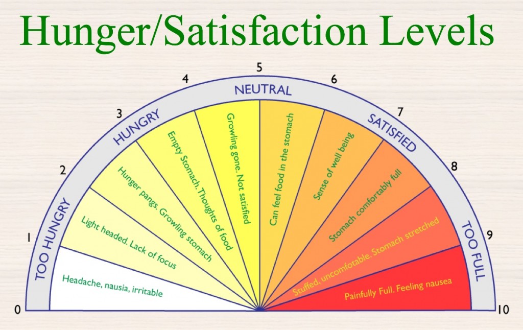 hunger/satisfaction levels