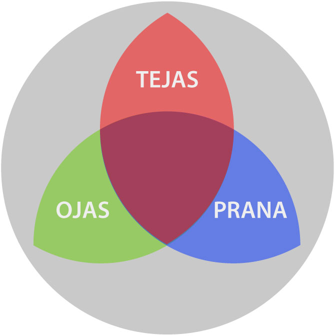 Tejas Ojas Prana circle