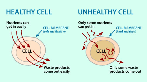 healthy and unhealthy cells
