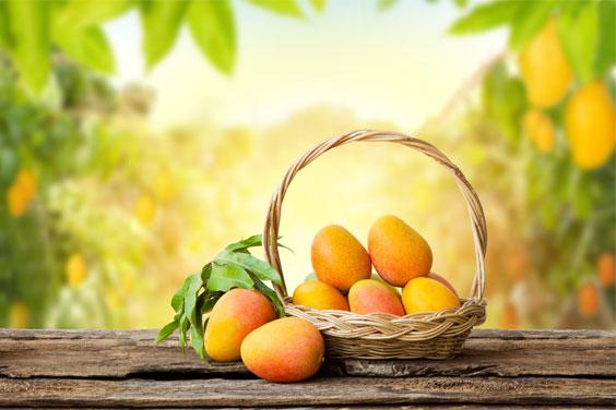 Sweet Juicy Mangoes