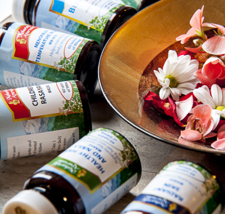 New to Maharishi AyurVeda? Not sure what to try first?