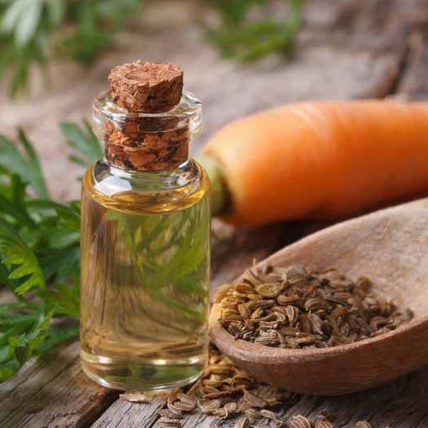 Carrot seed oil
