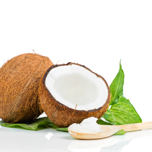 Tropical Coconut Illustration