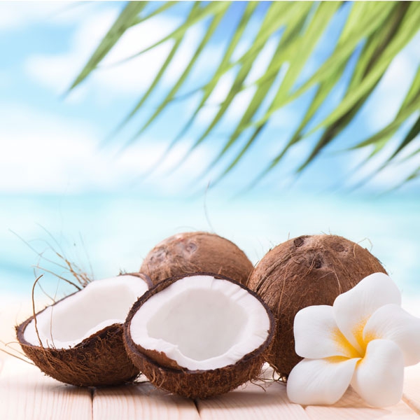 Coconut-illustration